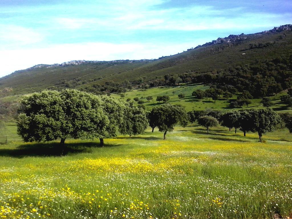 Casa Rural La Sierra De Monfraguee Malpartida De Plasencia Exterior foto